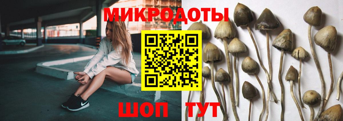 хочу наркоту  Псилоцибиновые грибы Psilocybe  Вход с VPN  Галлюциногенные грибы прущие грибы  Сосновый Бор 
